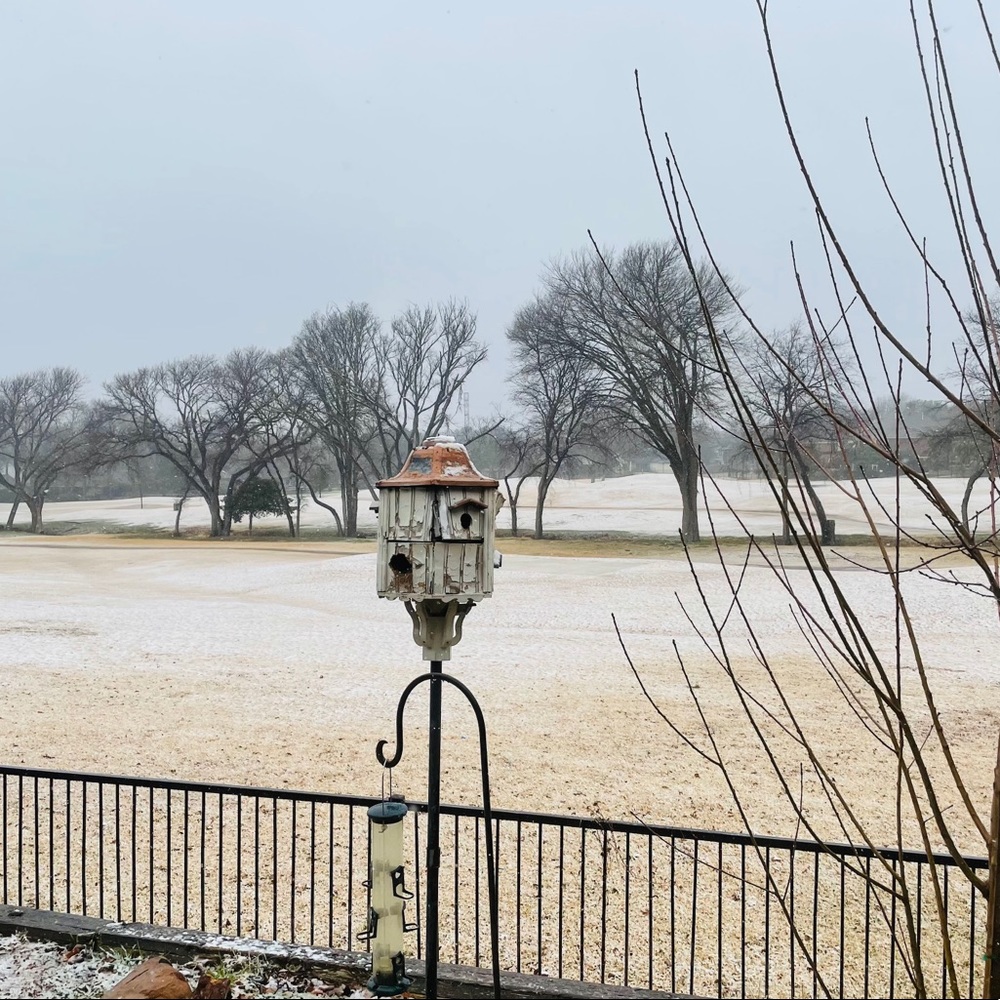 Meet your Posher, Ozair